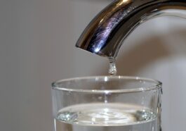 Wasser sparen - mit diesen Tipps sparen Sie Wasser im Haushalt und Garten