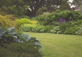 Gartenplanung für das ganze Jahr: Tipps und Tricks